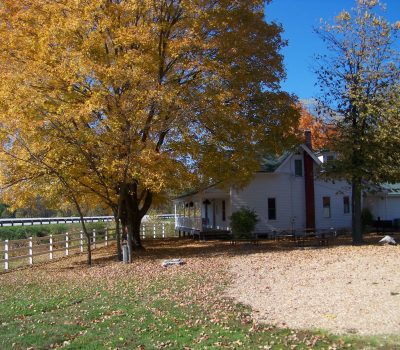 A white house with a green roof is surrounded by trees with yellow autumn leaves. A white fence borders the yard, which is covered in fallen leaves. The bright blue sky contrasts with the fall foliage, and a gravel area is visible in the foreground.