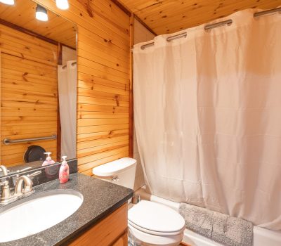 A small bathroom with wood-paneled walls, a white shower curtain, a toilet, a sink with a black countertop, a mirror, and soap dispensers by the faucet. The room is warmly lit.