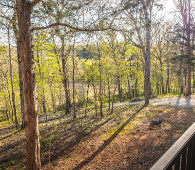 A sunlit forest with tall trees casting long shadows on the ground, viewed from behind a black railing on a wooden deck or porch. The scene is peaceful with bright green foliage.