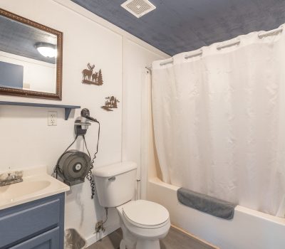 A small bathroom with a sink and mirror, a wall-mounted hair dryer, a toilet, and a bathtub with a white shower curtain. The walls are white, and there are animal wall decorations above the toilet.